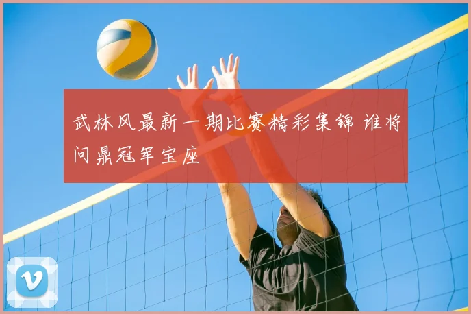 武林风最新一期比赛精彩集锦 谁将问鼎冠军宝座